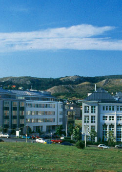 kornyezet